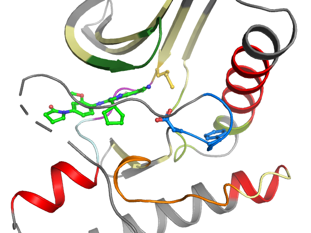 The orthosteric binding pocket