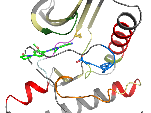 The orthosteric binding pocket