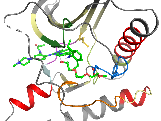The orthosteric binding pocket