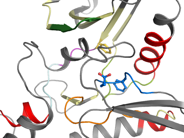 The orthosteric binding pocket