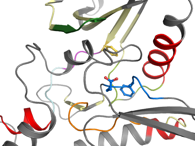 The orthosteric binding pocket