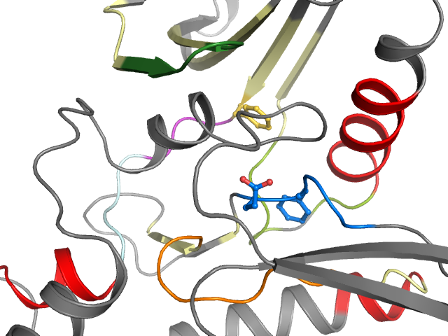 The orthosteric binding pocket
