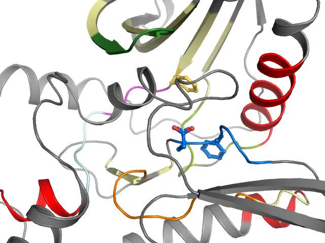 The orthosteric binding pocket