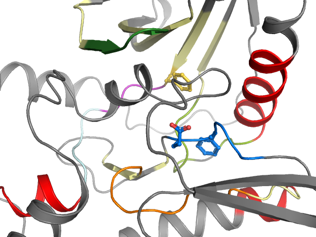The orthosteric binding pocket