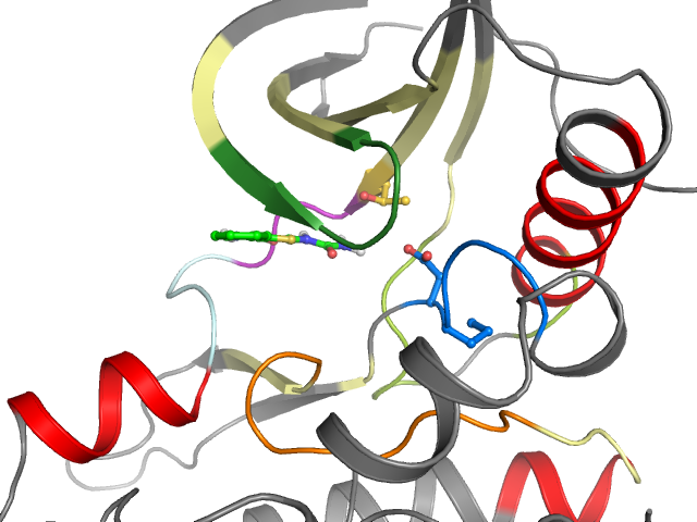 The orthosteric binding pocket