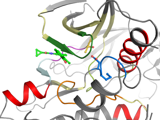 The orthosteric binding pocket