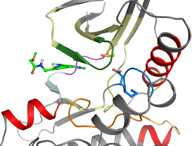 The orthosteric binding pocket