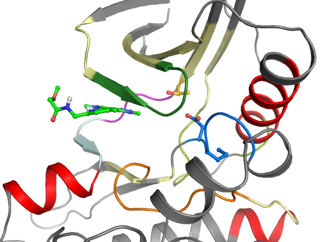 The orthosteric binding pocket