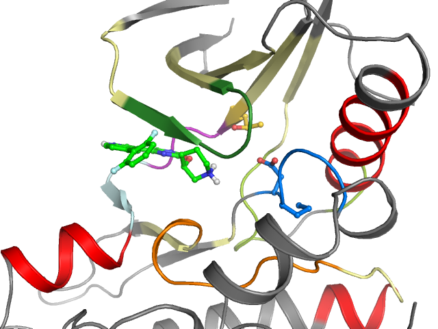 The orthosteric binding pocket