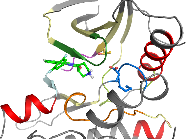 The orthosteric binding pocket