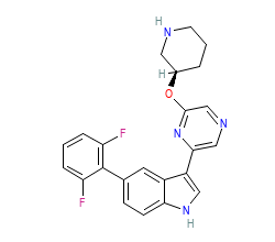 2D structure of the orthosteric ligand