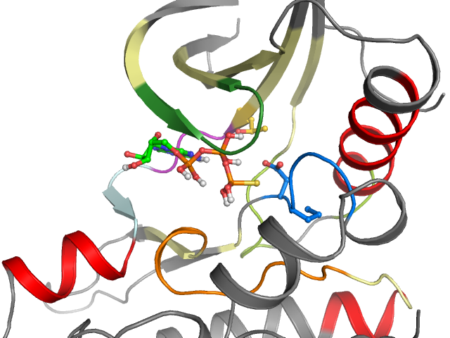 The orthosteric binding pocket