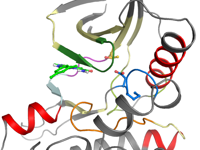 The orthosteric binding pocket