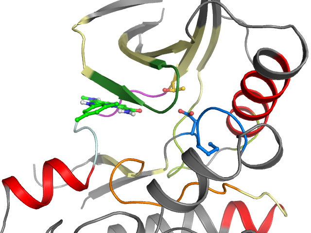 The orthosteric binding pocket