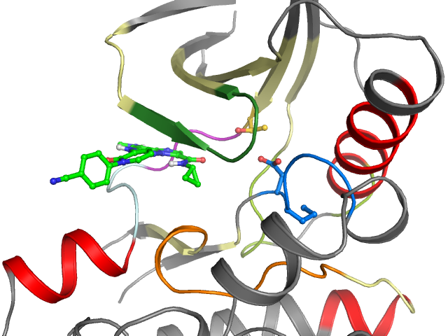 The orthosteric binding pocket