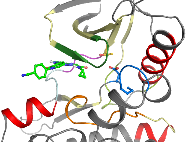 The orthosteric binding pocket