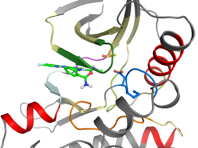 The orthosteric binding pocket