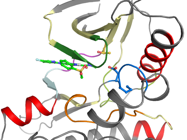 The orthosteric binding pocket