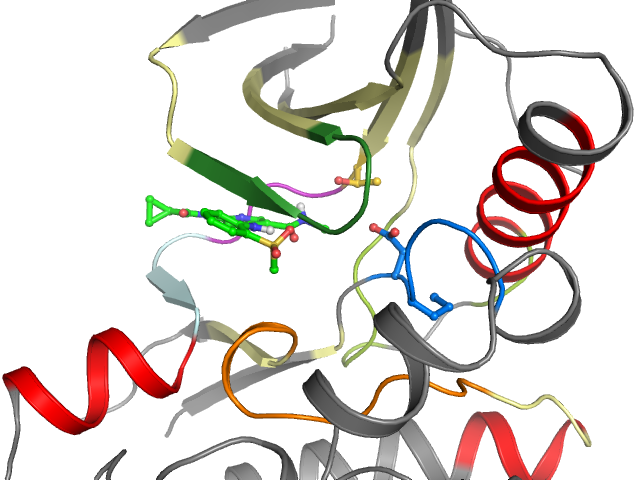 The orthosteric binding pocket