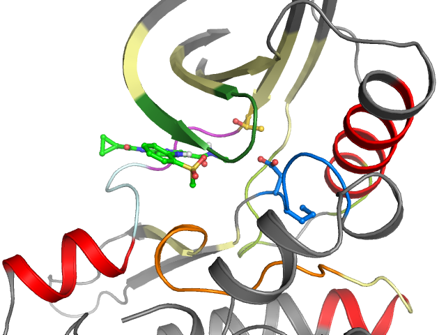 The orthosteric binding pocket