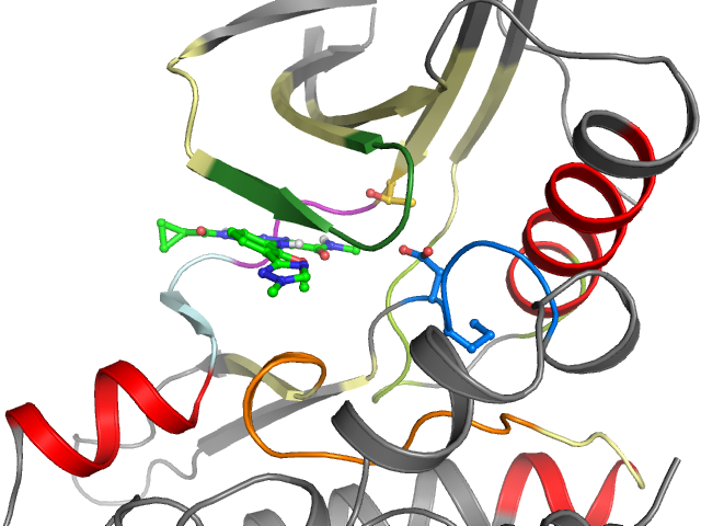 The orthosteric binding pocket