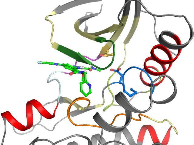 The orthosteric binding pocket