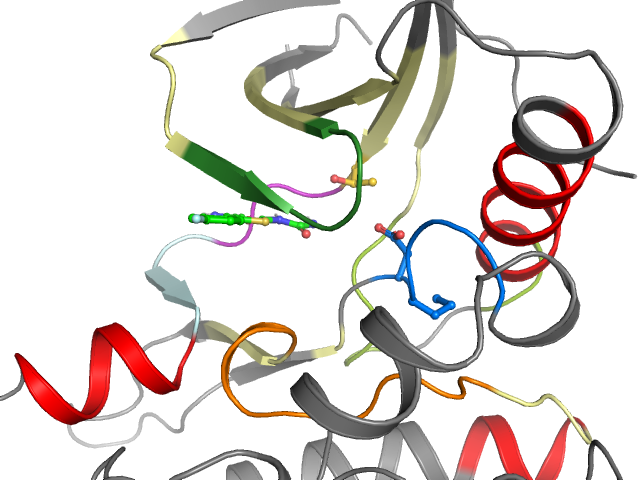The orthosteric binding pocket