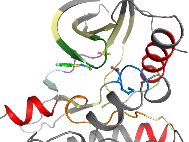 The orthosteric binding pocket