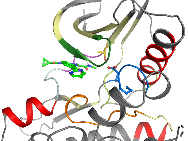 The orthosteric binding pocket