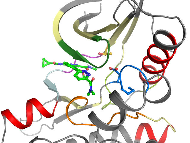 The orthosteric binding pocket