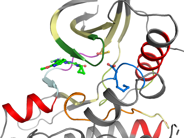 The orthosteric binding pocket