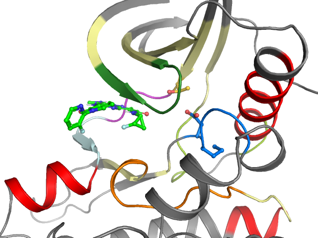 The orthosteric binding pocket