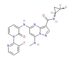 2D structure of the orthosteric ligand