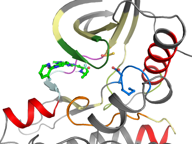 The orthosteric binding pocket