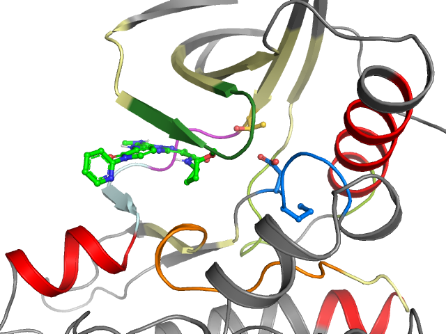 The orthosteric binding pocket
