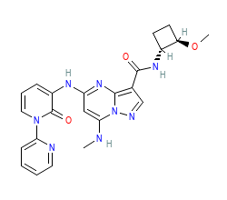 2D structure of the orthosteric ligand