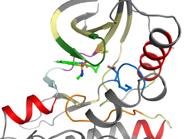 The orthosteric binding pocket