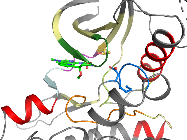 The orthosteric binding pocket
