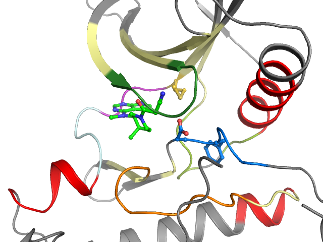 The orthosteric binding pocket