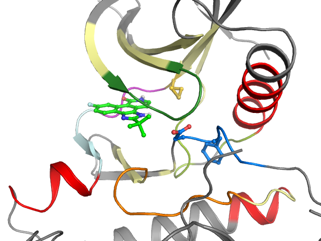 The orthosteric binding pocket