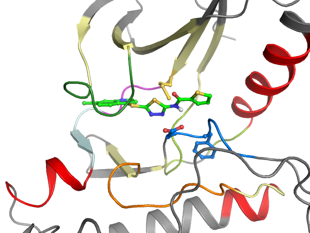 The orthosteric binding pocket