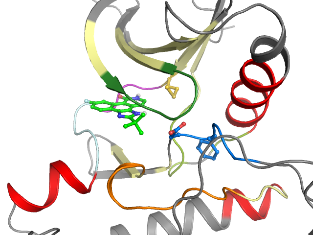 The orthosteric binding pocket