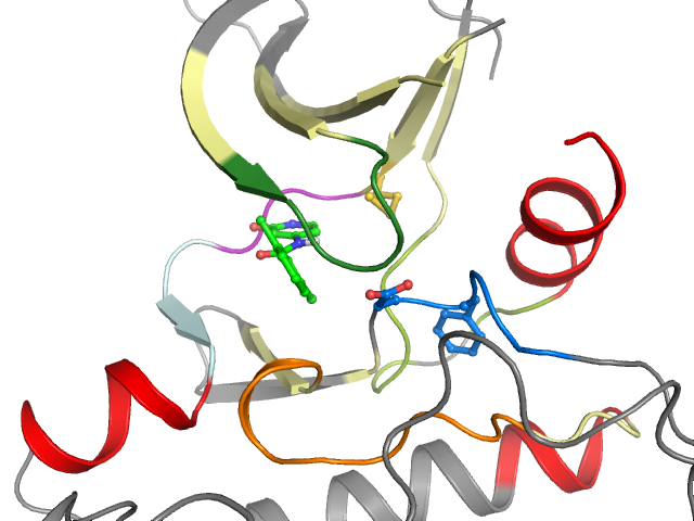 The orthosteric binding pocket