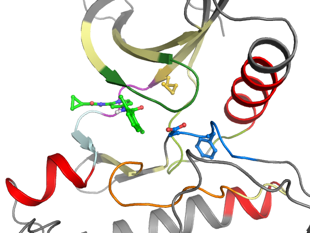 The orthosteric binding pocket