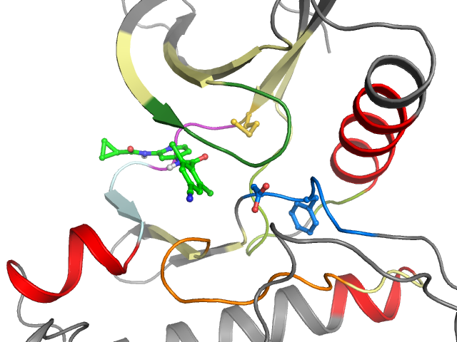 The orthosteric binding pocket