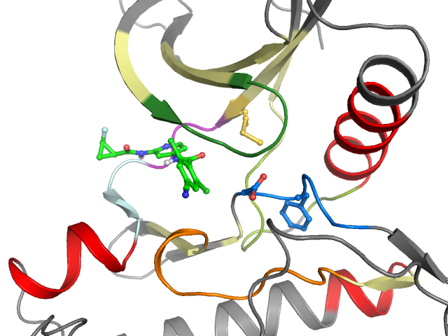 The orthosteric binding pocket