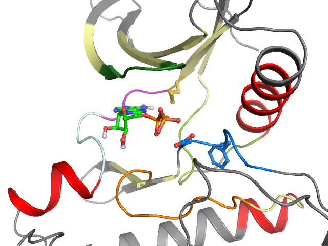 The orthosteric binding pocket