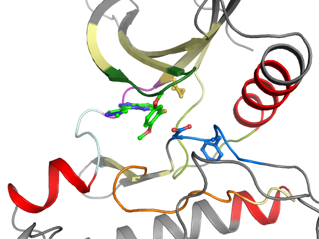 The orthosteric binding pocket