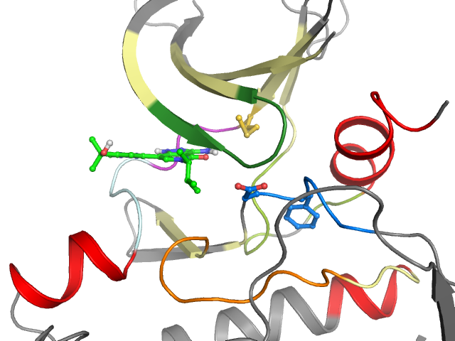 The orthosteric binding pocket