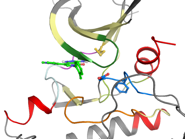 The orthosteric binding pocket